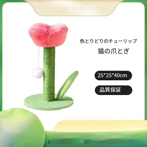 Lbg^[ ܌ `[bv܌|[  L͂ݔ Ȃ 킢 ins L̂ Lpi