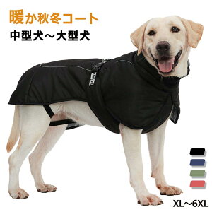   ~ hbOEFA R[g ^ ^ AE^[ ybg |`^ }g  xXg ȓ ^ ^ ˃e[vt іh~ m hR[g y EȒP g