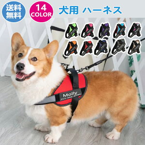  n[lX ^ ^ ^  pn[lX ̃n[lX 킢 Ȃ ɂ EȂ Eɂ lC s⏕ \tgn[lX EGAn[lX ȒP bN 