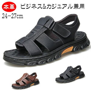 {vT_ X|[cT_ ItBXT_ Y T_ O Ƃ藚Sn JWArWlXT_ 24-27cmAEghA ItBX ^] EH[LO y 