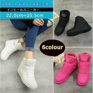  fB[XXj[J[  Xj[J[ 7cmnCJbg ؍t@bV jO Cq[Xj[J[ JWA 傫TCY V[Y C rXj[J[ w 