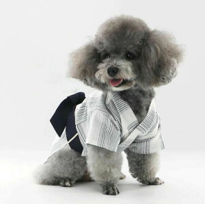 ̕  a Ղ hbO  ybgObY Ȃ  ybgpi ybgpi ^ Ղ ^ L o|EFA ȒPE ԉΑ m LOBe 