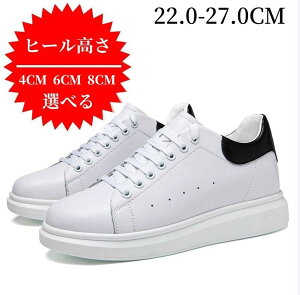 yzjp V[NbgV[Y vXj[J[ Y fB[X 4/6/8/cmUP gAbv  JWAV[Y X|[c jO ʋ ʊw y ϋv Y Xj[J[ 