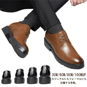 3cm/6cm/8cm/10cmUP V[NbgV[Y Y  vC rWlXV[Y q[Abv gAbv wȂC Cq[ JWA amC 10Z`Abv hXV[Y jC l