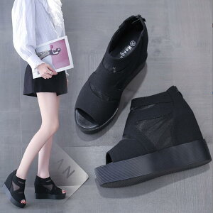  I[vgDu[c T}[u[c u[cT_ fB[X T_ nCq[ Cq[ 9.5cm EFbW\[ bV  ʋC Ȃ V[gu[c obNW