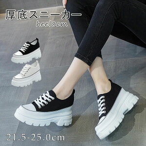 Xj[J[ fB[X V[Y _bh Xj[J[ fB[X EH[LOV[Y Cq[    킢 lC C  Xj[J[ ubN zCg r gAbv