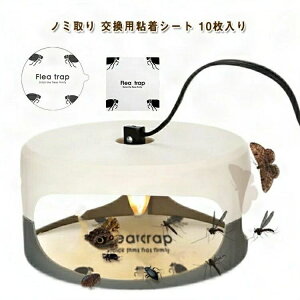 m~ 10 ߒ pSV[g m~ m~gbv m~ Q΍ m~ pV[g m~ގ  m~C nGC grVe nG m~_jގ 