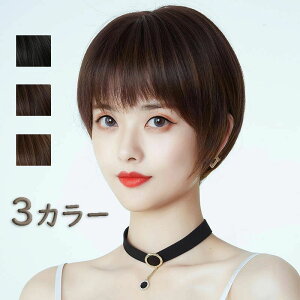 ウィッグ ふんわり やわらか丸みボブ 自然 普段使い ショート 耐熱 ボリューム フルウィッグ フルウイッグ ベージュ ショート 前髪あり 前髪なし 医療用 医療 女性 女性用 カツラ 抗がん剤