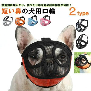 yzNX}Xv[g t`uhbO TCY\ ȒP ʋC pi p}XN bV }XN h~