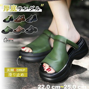 fB[X T_ PUvT_ 6cmUP ~[ fB[X y r ~ ʋCK L ʋC  ʋ ItBXT_ ₷ O p ƂȂC