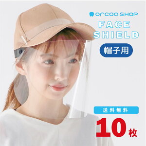 tFCXV[h Xqp 10 ECX΍ 򖗖h~ ق y jtH[  Xq jp tFCXK[h }EXV[h }XN  NA  ^ ܂Ƃߔ 