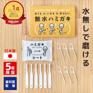 【先着限定】最大500円OFFクーポン 水なしで磨ける 無水ハミガキ 防災 ハミガキシート ミニハブラシ フロ…