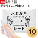 其他口腔用品｜ハミガキシート 10枚入り 防災 歯みがきシート 赤ちゃん 子供 大人 介護 備蓄 旅行 ノンアルコール 無香料 無着色 キ…