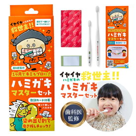 歯磨き学習セット ハミガキマスターセット 歯磨き 嫌がる グッズ 歯科医監修 子ども 子供 キッズ 5歳 ハブラシ 染め出し 鏡付き ミラーシール 乳歯 オーラルケア むし歯 歯ブラシ コンパクト 細い 日本製 国産 歌 動画 キャラクター かわいい ちまちょこはみがき 東京ハイジ