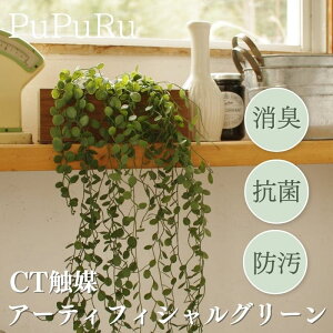 GNA L R h ϗtA tFCNO[ ꉺ A[eBtBVO[ Ǌ| nMO ~j  lHϗtA A 20cm CTG} tFCN IV LV}