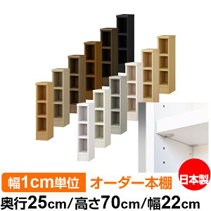 { {I F zAfqhyC[W[bNI^CvzI[_[ {I [ I I bN TCYI[_[ eʃI[_[}`bN s25cm 70cm 22cmyω׏d ^