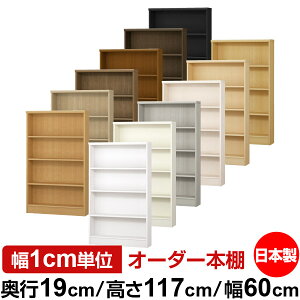 {I X ^ s19cm 117cm 60cm I[_[{I { SI ɖ{[ R~bNbN I bN ^{I [I Vv tH[X^[Ή W^Cv