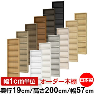 {I X ^ s19cm 200cm 57cm I[_[{I { SI ɖ{[ R~bNbN I bN ^{I [I Vv tH[X^[Ή W^Cv