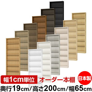 {I X ^ s19cm 200cm 65cm I[_[{I { SI ɖ{[ R~bNbN I bN ^{I [I Vv tH[X^[Ή W^Cv