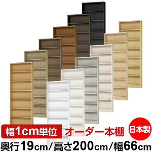 {I X ^ s19cm 200cm 66cm I[_[{I { SI ɖ{[ R~bNbN I bN ^{I [I Vv tH[X^[Ή W^Cv