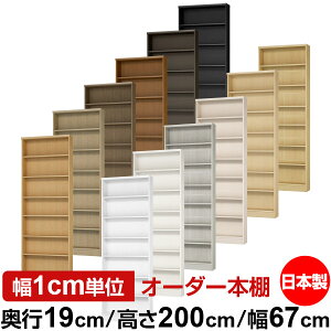 {I X ^ s19cm 200cm 67cm I[_[{I { SI ɖ{[ R~bNbN I bN ^{I [I Vv tH[X^[Ή W^Cv