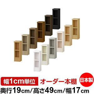 {I X ^ s19cm 49cm 17cm I[_[{I { SI ɖ{[ R~bNbN I bN ^{I [I Vv tH[X^[Ή W^Cv