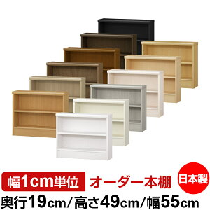 {I X ^ s19cm 49cm 55cm I[_[{I { SI ɖ{[ R~bNbN I bN ^{I [I Vv tH[X^[Ή W^Cv