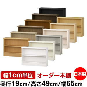 {I X ^ s19cm 49cm 65cm I[_[{I { SI ɖ{[ R~bNbN I bN ^{I [I Vv tH[X^[Ή W^Cv