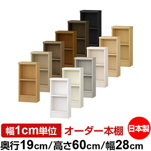 本棚 スリム 薄型 奥行19cm 高さ60cm 幅28cm オーダー本棚 日本製 全棚可動 文庫本収納 コミックラック 書棚 ラック 薄型本棚 収納棚 シンプル フォースター対応 標準タイプ