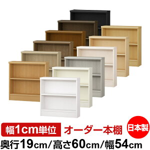 {I X ^ s19cm 60cm 54cm I[_[{I { SI ɖ{[ R~bNbN I bN ^{I [I Vv tH[X^[Ή W^Cv