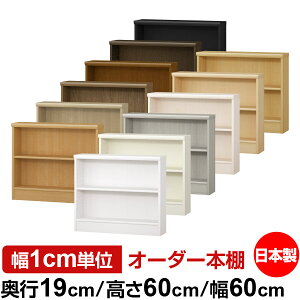 {I X ^ s19cm 60cm 60cm I[_[{I { SI ɖ{[ R~bNbN I bN ^{I [I Vv tH[X^[Ή W^Cv