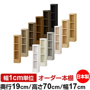 {I X ^ s19cm 70cm 17cm I[_[{I { SI ɖ{[ R~bNbN I bN ^{I [I Vv tH[X^[Ή W^Cv