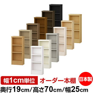 {I X ^ s19cm 70cm 25cm I[_[{I { SI ɖ{[ R~bNbN I bN ^{I [I Vv tH[X^[Ή W^Cv