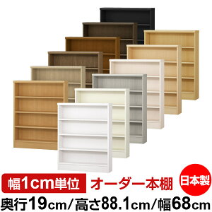 {I X ^ s19cm 88.1cm 68cm I[_[{I { SI ɖ{[ R~bNbN I bN ^{I [I Vv tH[X^[Ή W^Cv