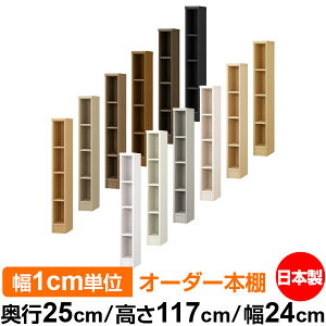{I ^ e J[{bNX [bs25cm 117cm 24cmb{ ؐ F I[_[bN [I I[_[}`bN WI 