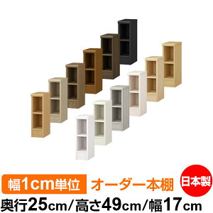 {I ^ e [ s25cm 49cm 17cmb{ ؐ F I[_[bN [I I[_[}`bN WI 