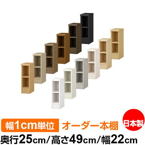 {I ^ e [ s25cm 49cm 22cmb{ ؐ F I[_[bN [I I[_[}`bN WI 