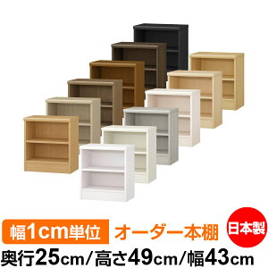 {I ^ e [ s25cm 49cm 43cmb{ ؐ F I[_[bN [I I[_[}`bN WI 