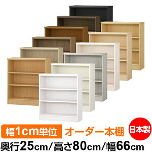 {I ^ e [ s25cm 80cm 66cmb{ ؐ F I[_[bN [I I[_[}`bN WI 