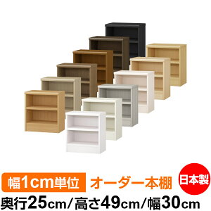 {I 1cmPʃI[_[ I J[{bNXbs25cm 49cm 30cmb{ ؐ F I[_[bN [I I[_[}`bN ω׏d I 