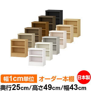 {I 1cmPʃI[_[ I J[{bNXbs25cm 49cm 43cmb{ ؐ F I[_[bN [I I[_[}`bN ω׏d I 