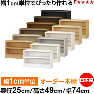 �{�I ��1cm�P�ʃI�[�_�[ ���I �J���[�{�b�N�X�b���s25cm ����49cm ��74cm�b���{�� �ؐ� F�������� �I�[�_�[���b�N ���[�I �I�[�_�[�}���`���b�N �ω׏d �����I�� ��������