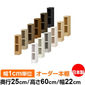 {I 1cmPʃI[_[ I J[{bNXbs25cm 60cm 22cmb{ ؐ F I[_[bN [I I[_[}`bN ω׏d I 