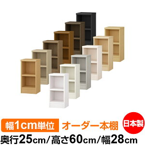 {I 1cmPʃI[_[ I J[{bNXbs25cm 60cm 28cmb{ ؐ F I[_[bN [I I[_[}`bN ω׏d I 