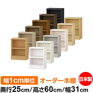 {I 1cmPʃI[_[ I J[{bNXbs25cm 60cm 31cmb{ ؐ F I[_[bN [I I[_[}`bN ω׏d I 