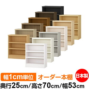 {I 1cmPʃI[_[ I J[{bNXbs25cm 70cm 53cmb{ ؐ F I[_[bN [I I[_[}`bN ω׏d I 