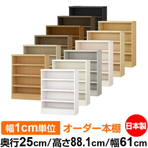 {I J[{bNX 1cmPʃI[_[bs25cm 88.1cm 61cmb{ ؐ F I[_[bN [I I[_[}`bN ω׏d I 