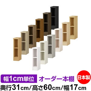 {I ^ e [ s31cm 60cm 17cmb{ ؐ F I[_[bN [I I[_[}`bN WI 