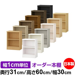 {I ^ e [ s31cm 60cm 30cmb{ ؐ F I[_[bN [I I[_[}`bN WI 