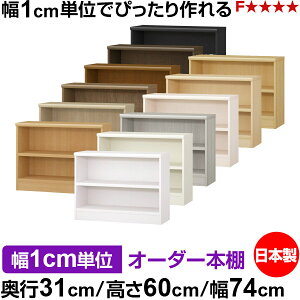 �{�I ��1cm�P�ʃI�[�_�[ ���I �J���[�{�b�N�X�b���s31cm ����60cm ��74cm�b���{�� �ؐ� F�������� �I�[�_�[���b�N ���[�I �I�[�_�[�}���`���b�N �ω׏d �����I�� ��������